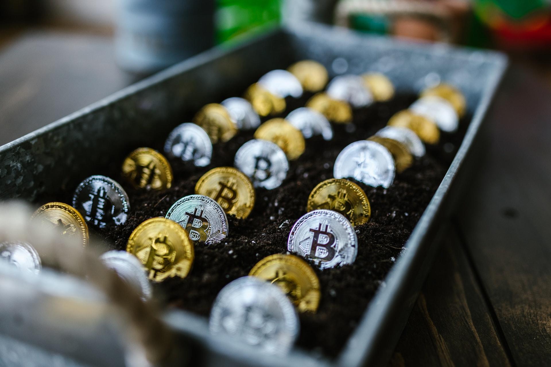 what is the best cryptocurrency