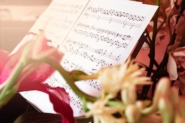 learn from violin tutor