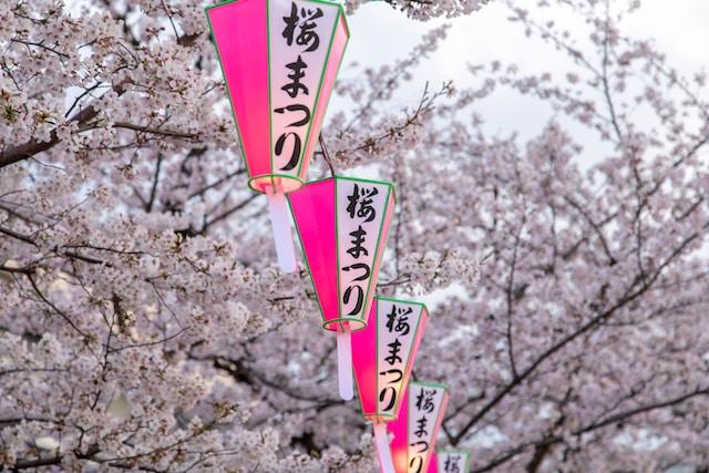 study Japanese words