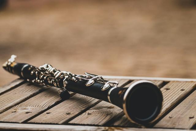 Bharatanatyam oboe performance
