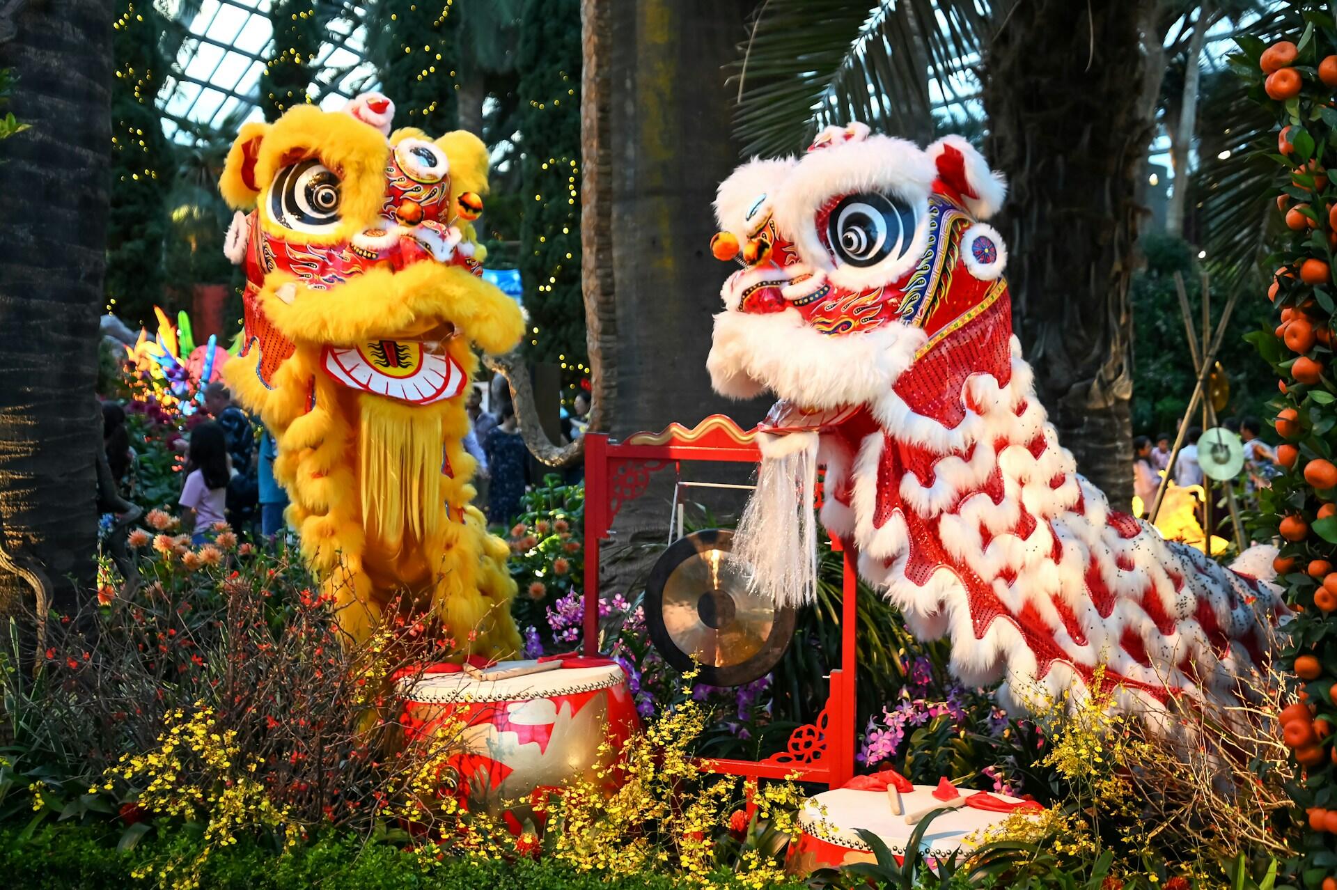 Colorful lion dance costumes in red and yellow during a festive performance. Vibrant flowers and a gong in a lush garden setting evoke joy and celebration.