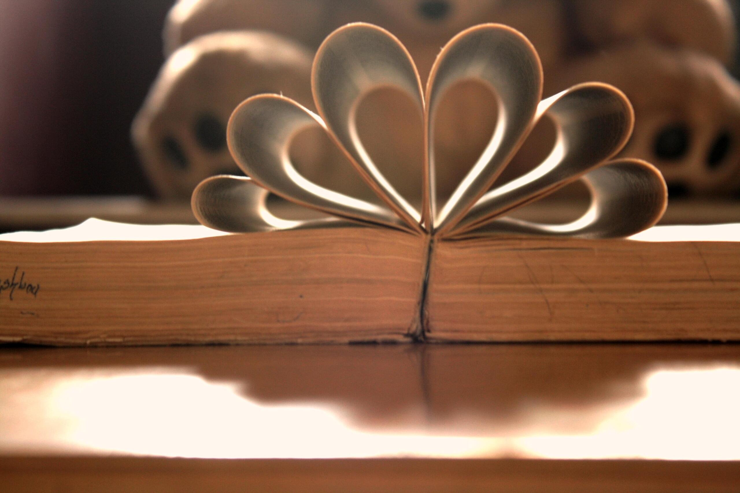 The successful use of a dictionary