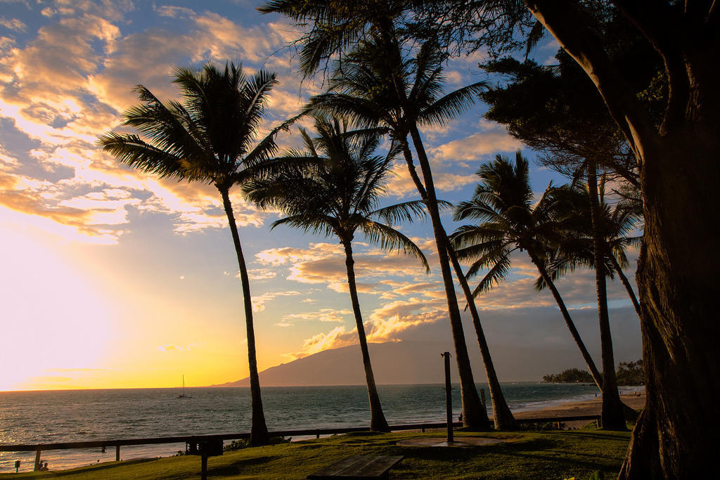 Learn how to talk and have a conversation with a Spanish speaker