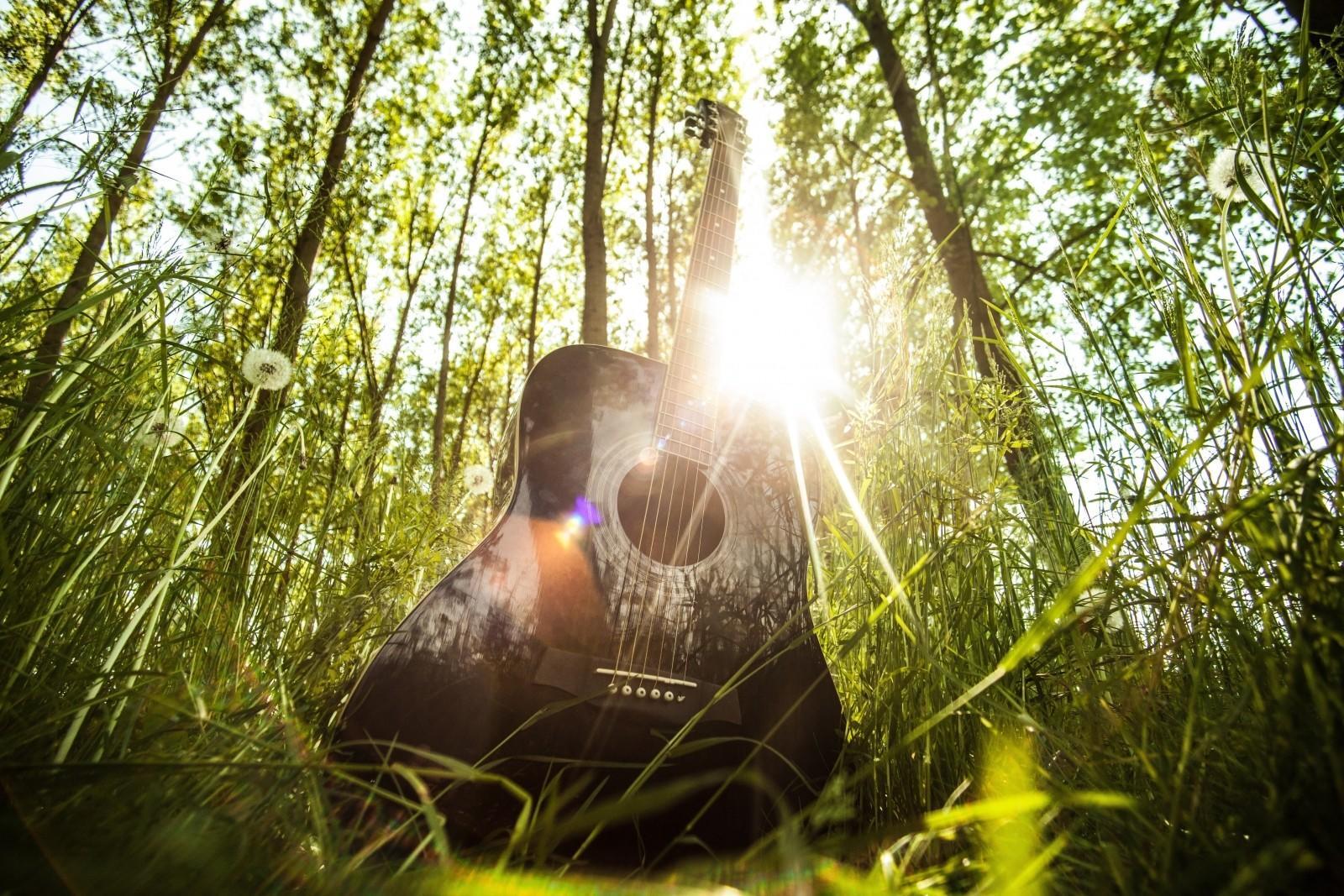 a secondhand guitar in the woods