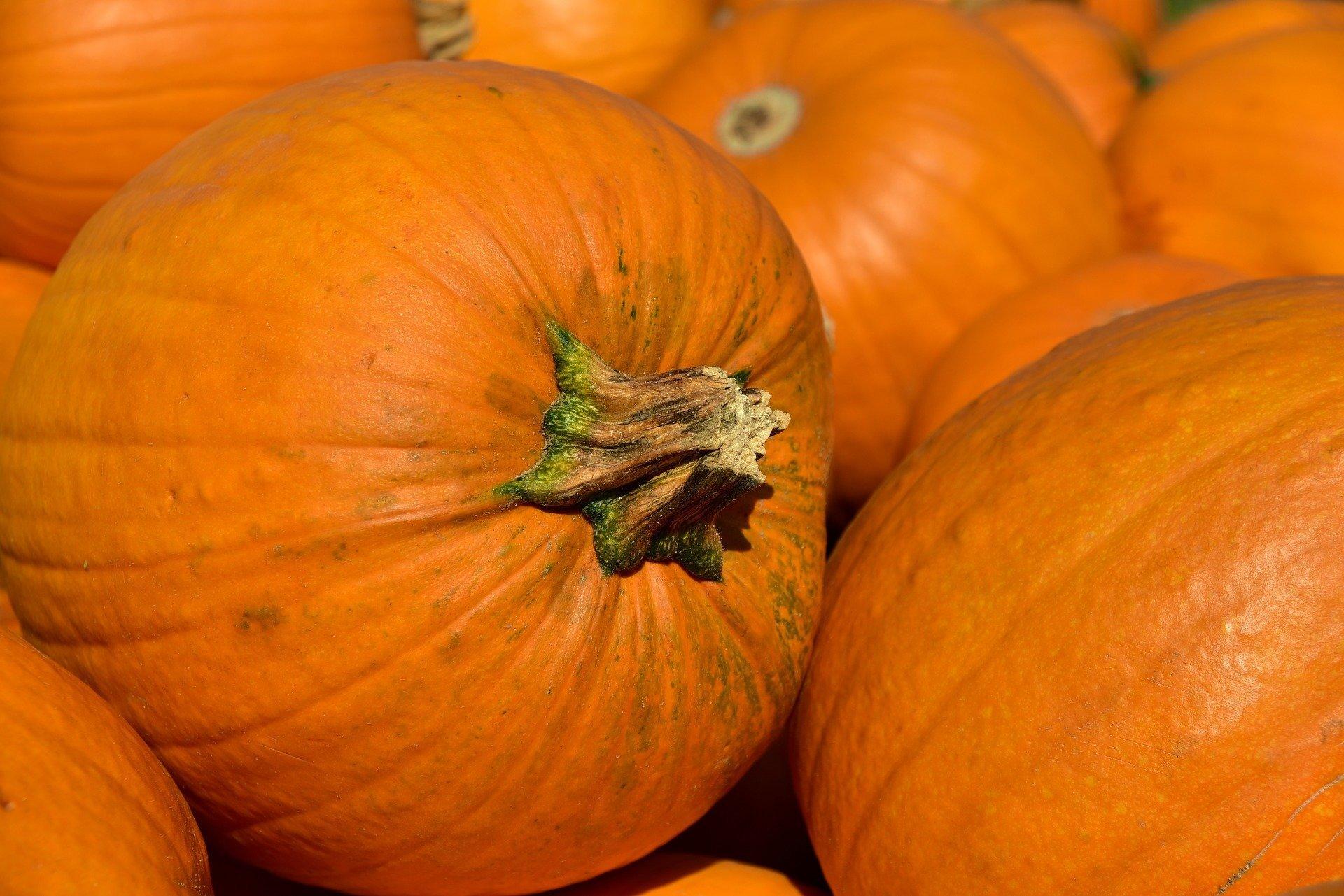 What can you draw for Halloween?