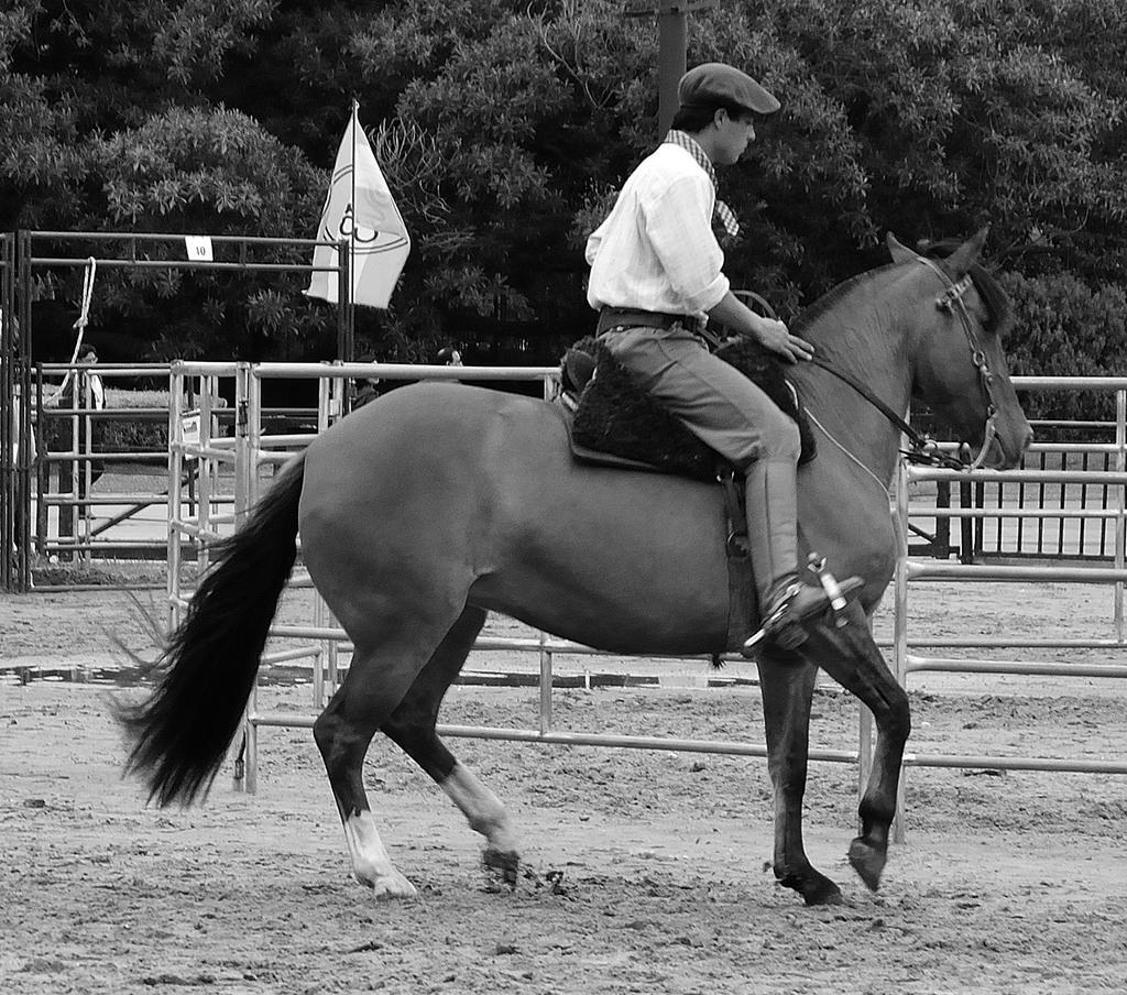 Use all the resources available to help in learning Arabic