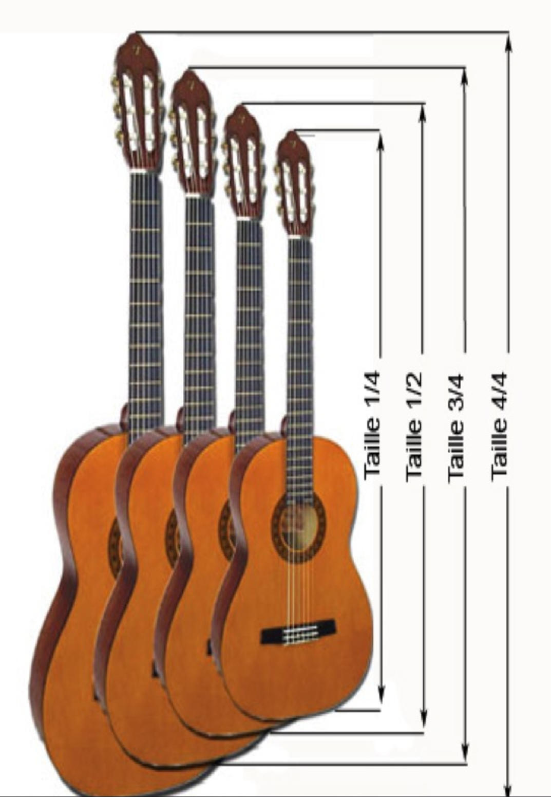 Different sizes of guitar