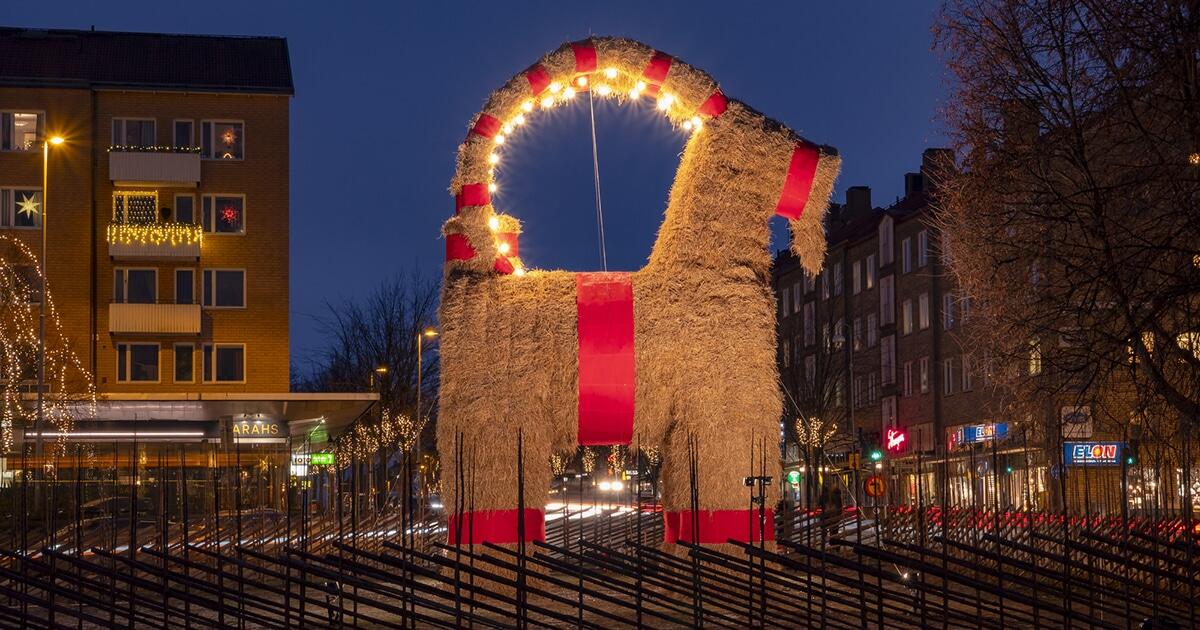 A huge Gävle goat found in Sweden. 