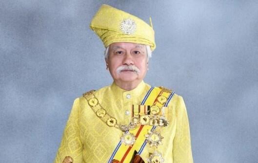 A portrait of Tuanku Muhriz of Negeri Sembilan.