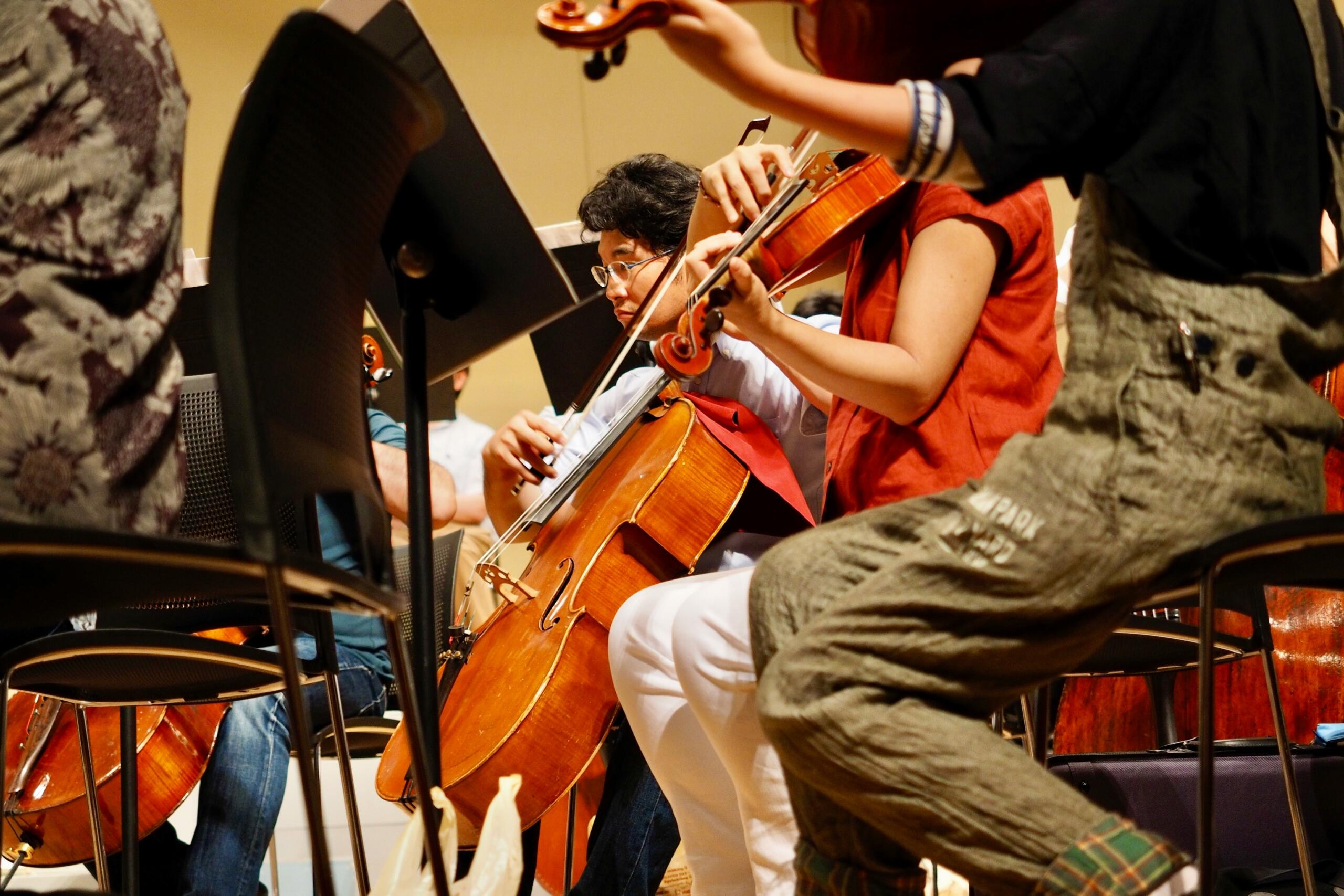 A group of musicians playing instruments in an orchestra setting.