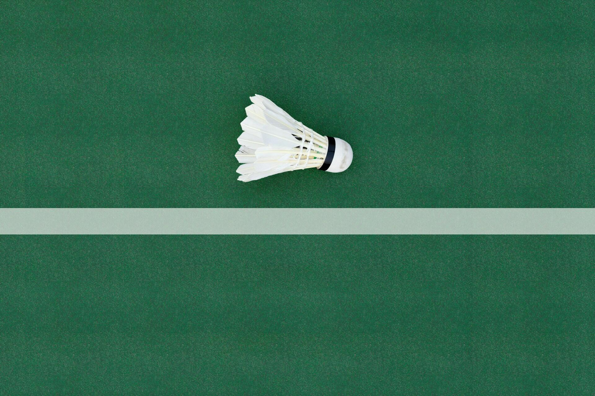 A badminton shuttlecock over a green background