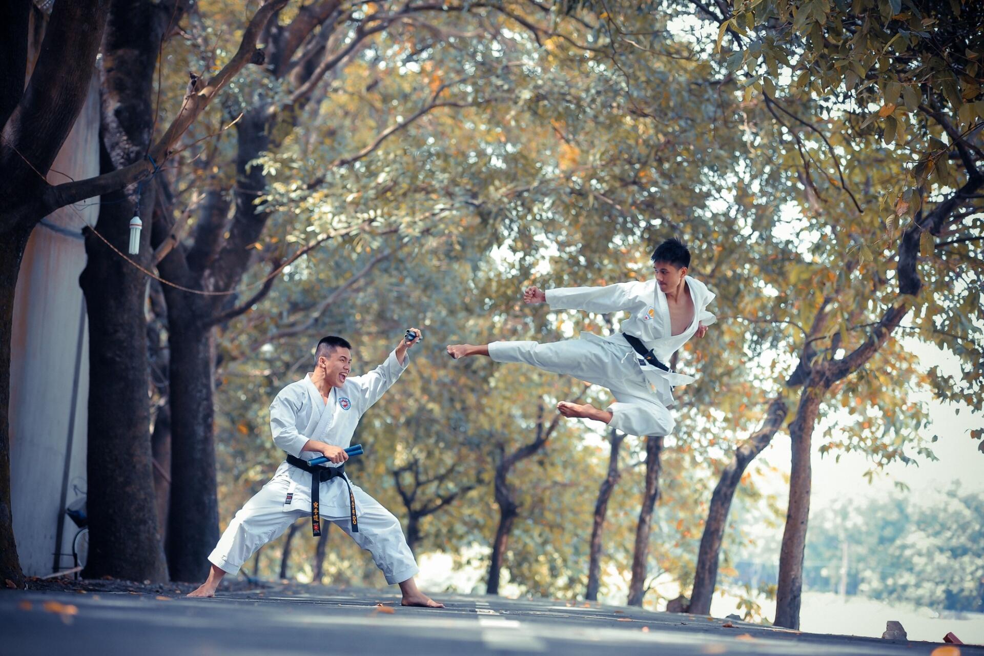 Martial artists performing a high-flying kick demonstration during outdoor training.