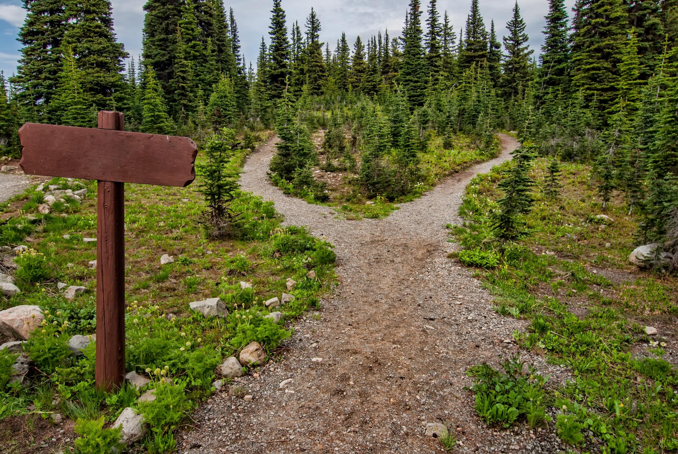 A double path