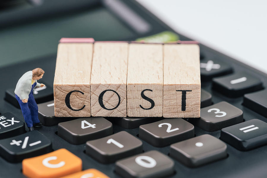 what exactly is the cost of german lessons in nigeria