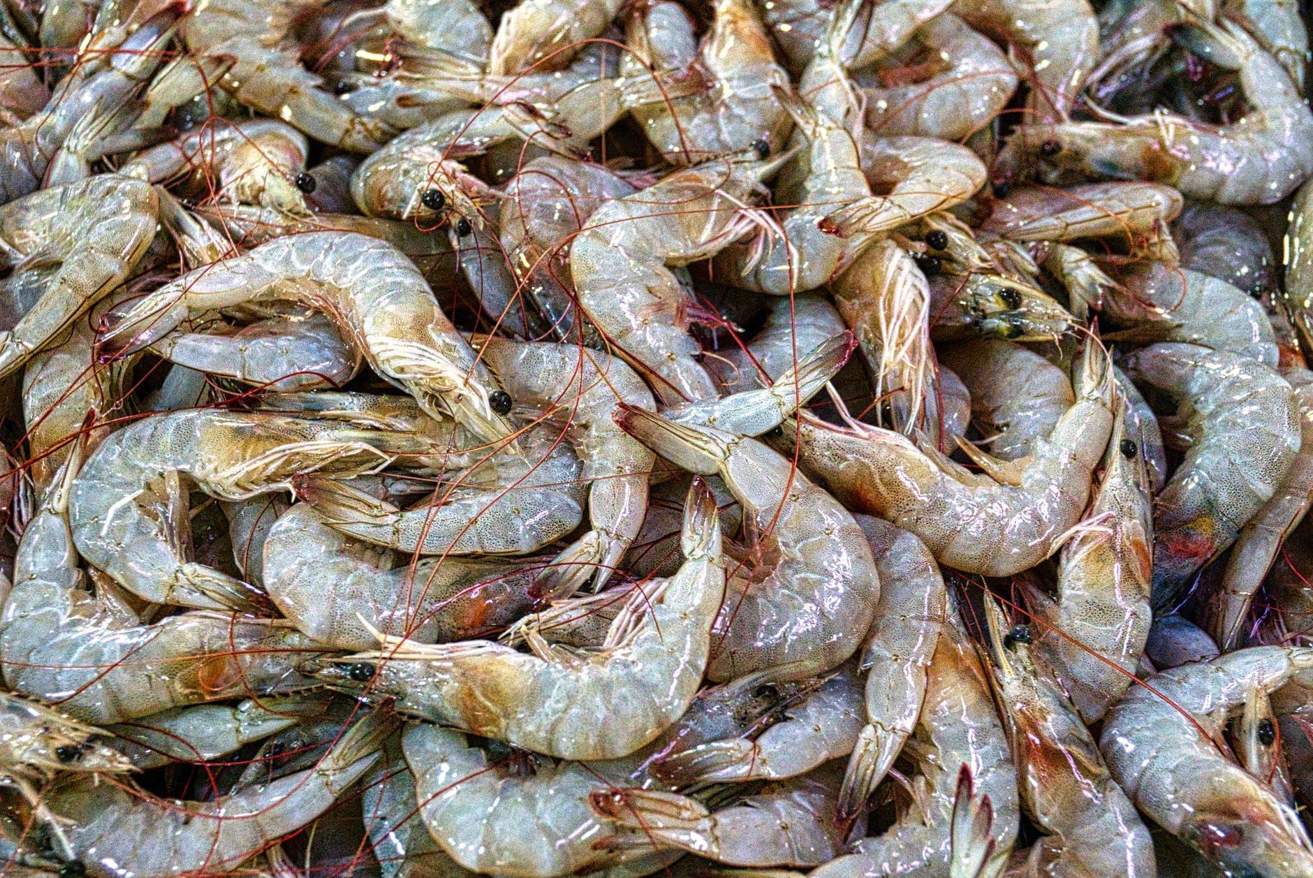 Seafood dishes in Portharcourt