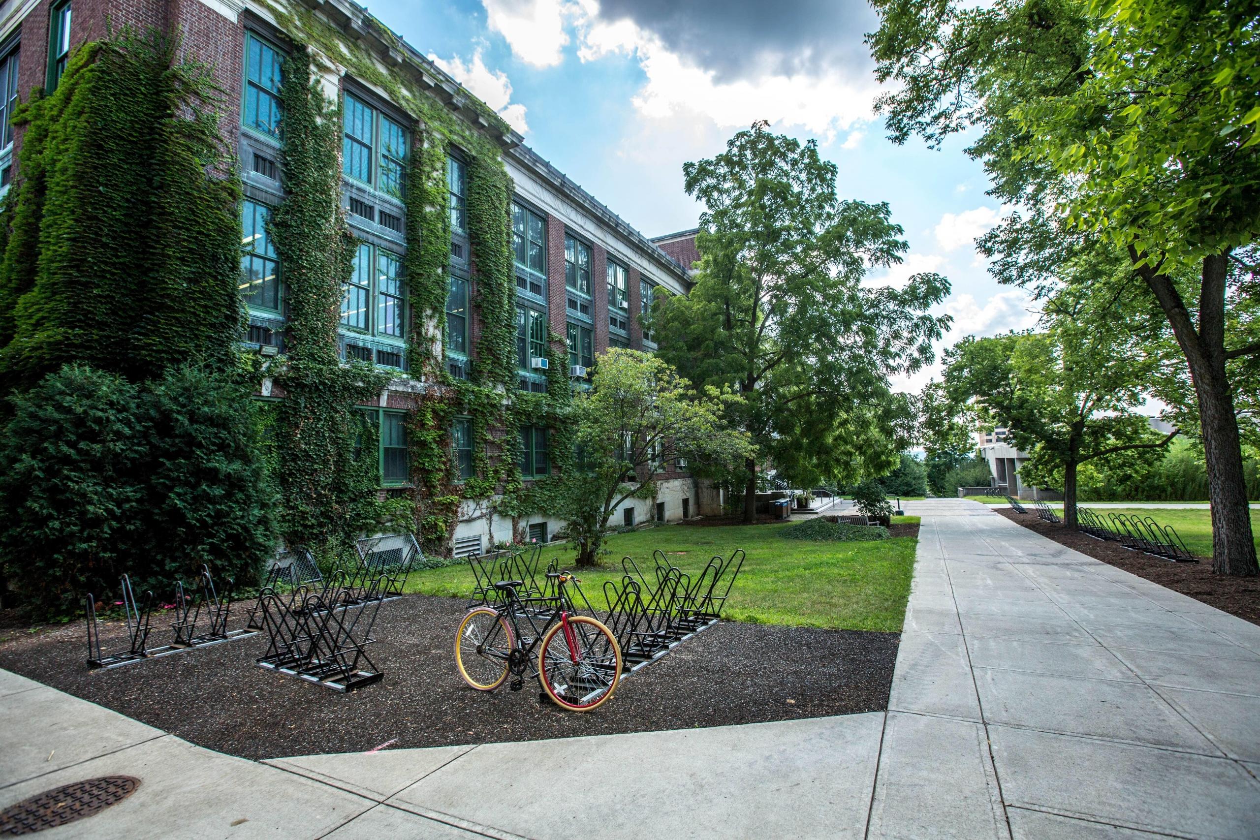 Campus envirionment