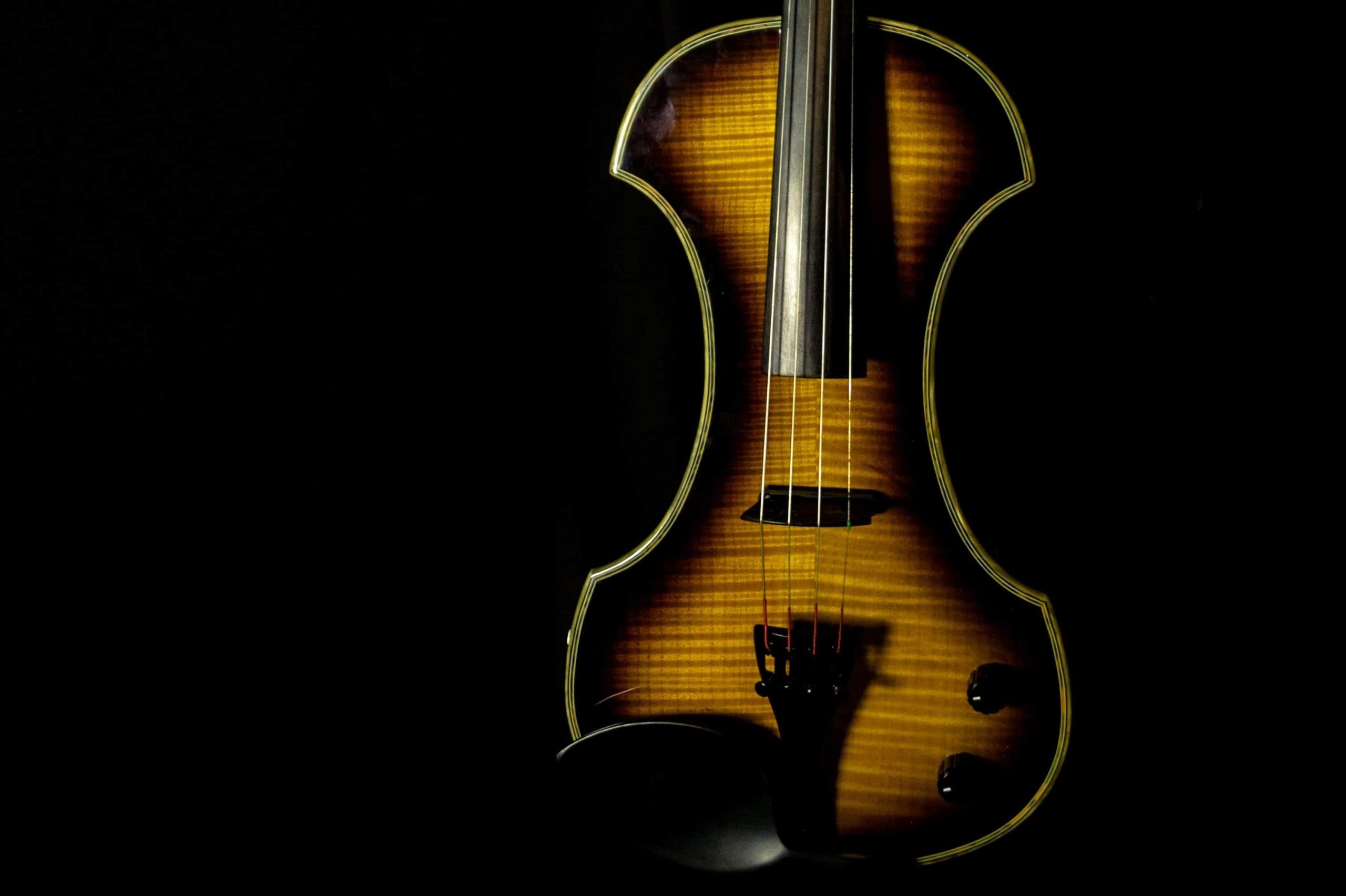 Violin