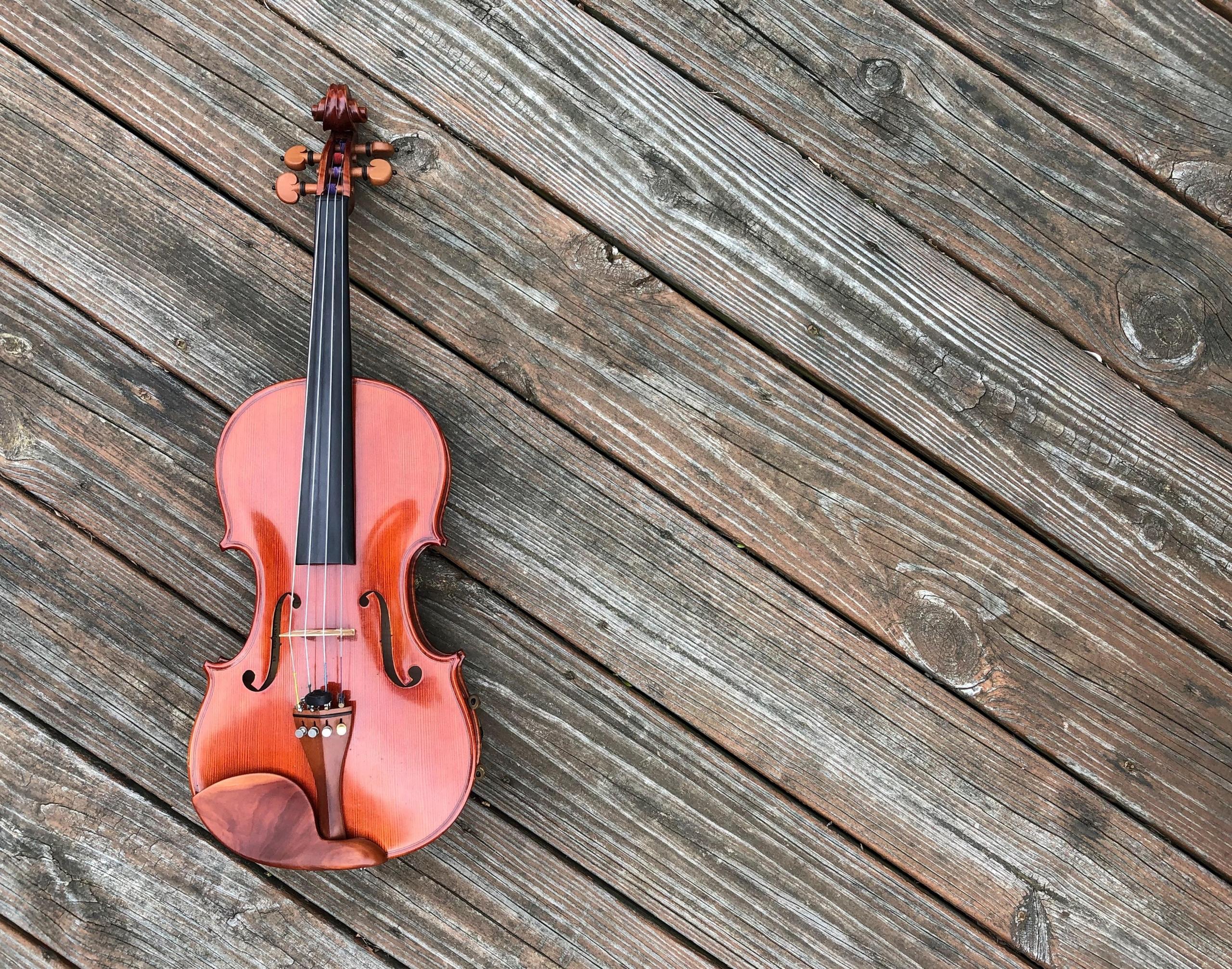 violin