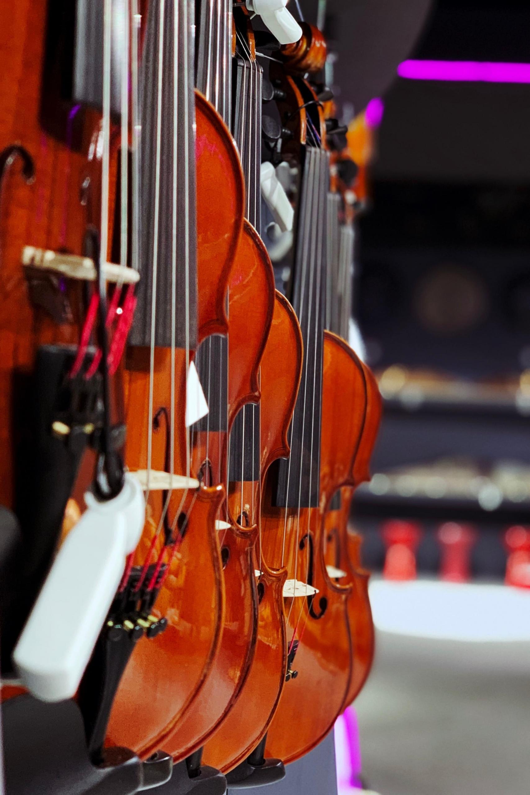 buying violins