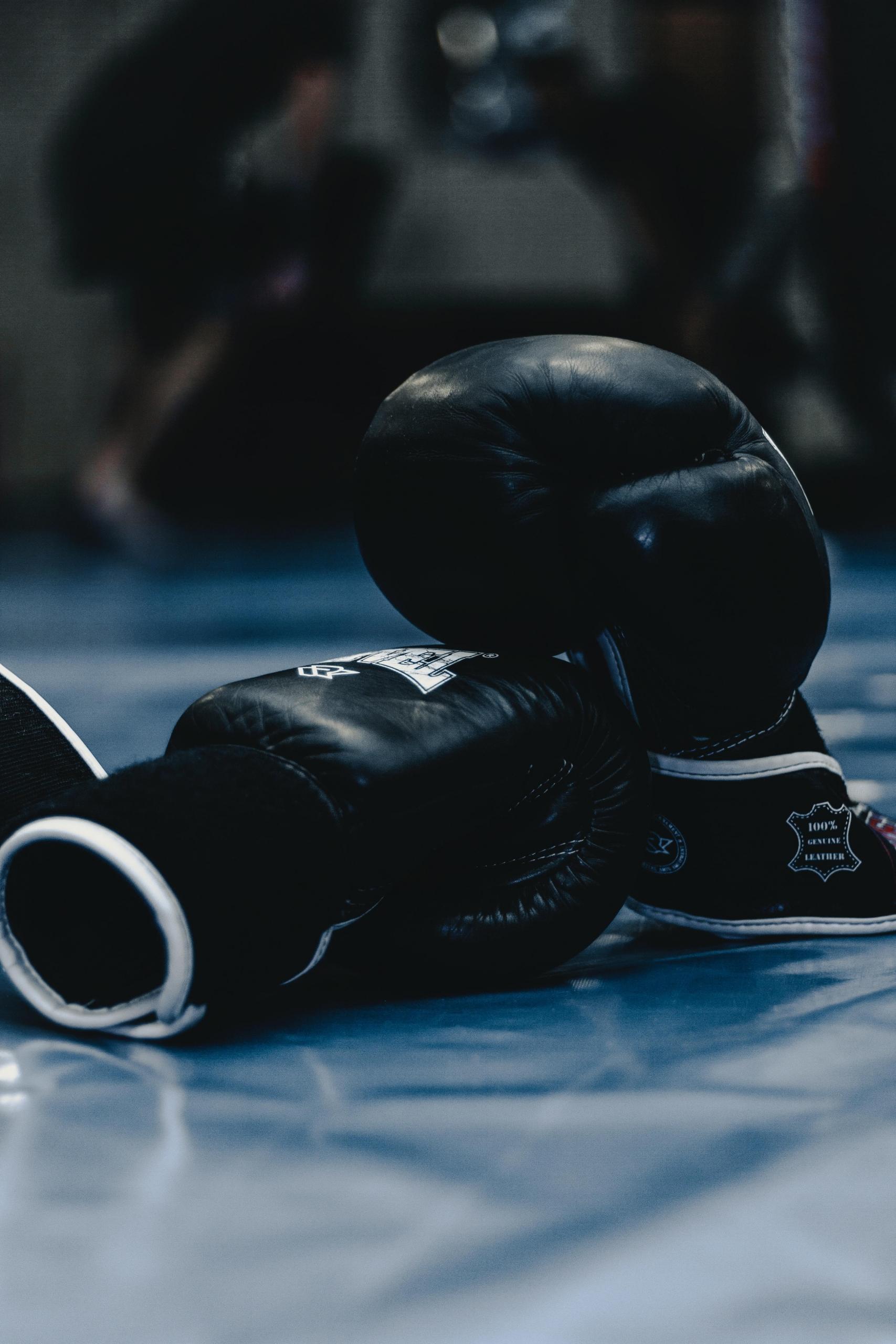 Professional Boxing Training