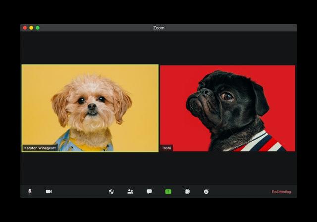 video conferencing