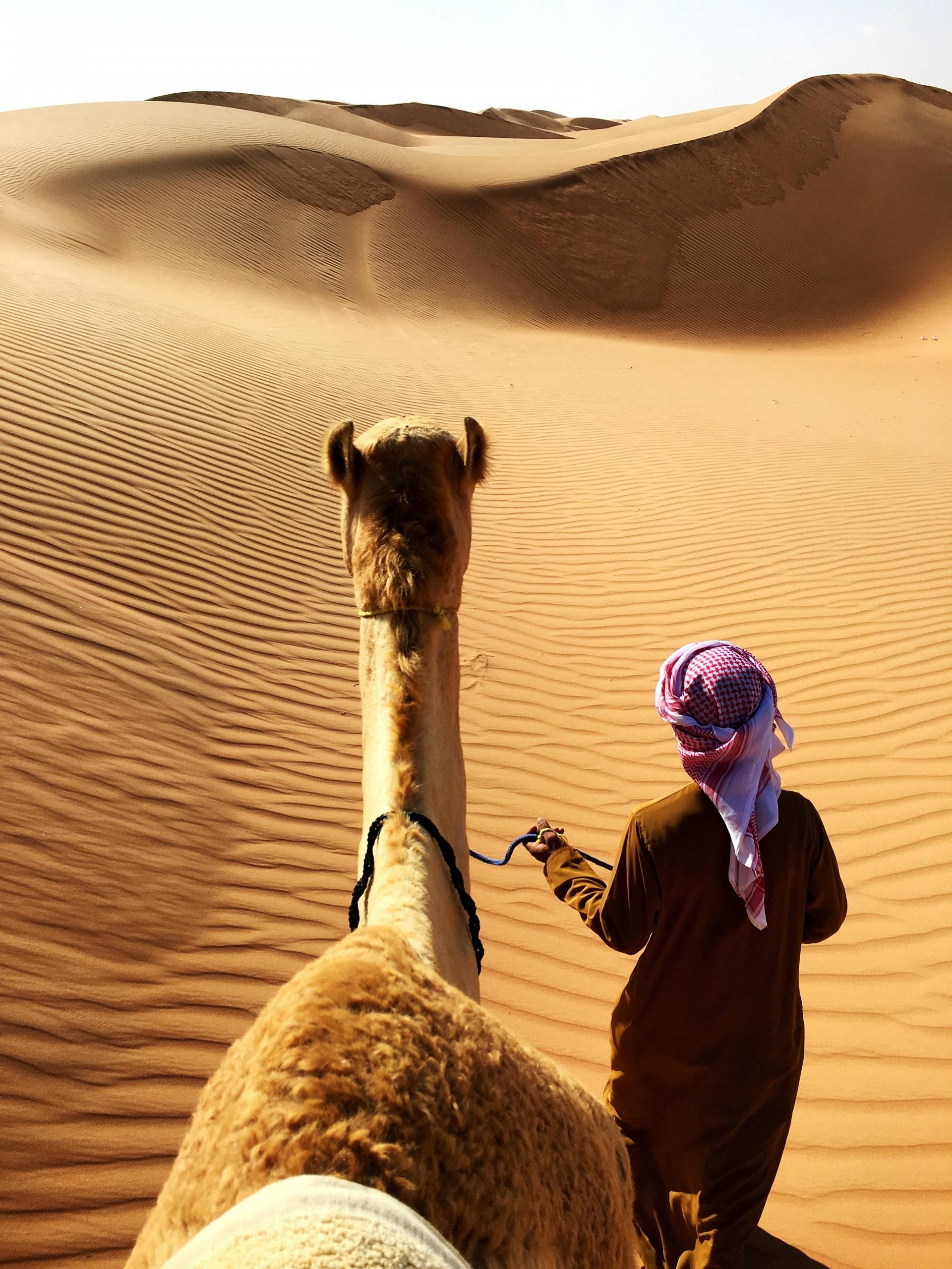 A man taking a camel through the desert