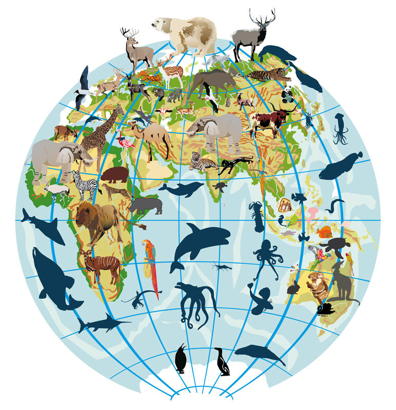 Biogeography