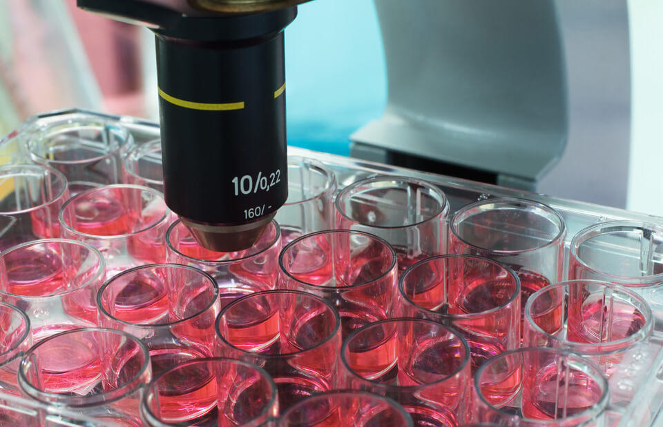 bioengineering