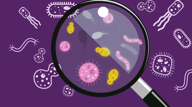 Microbiologist