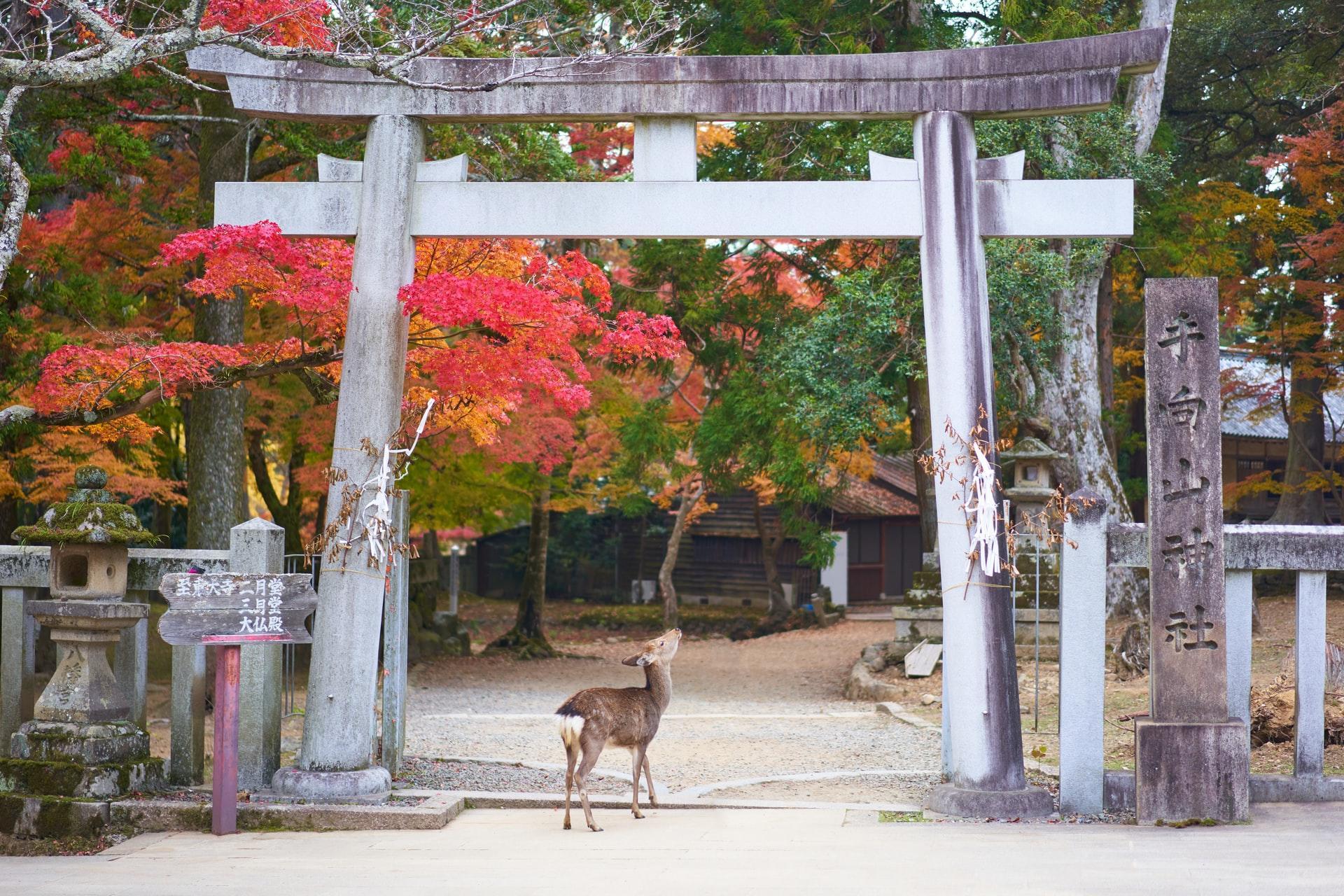 Famous Japanese Landmarks