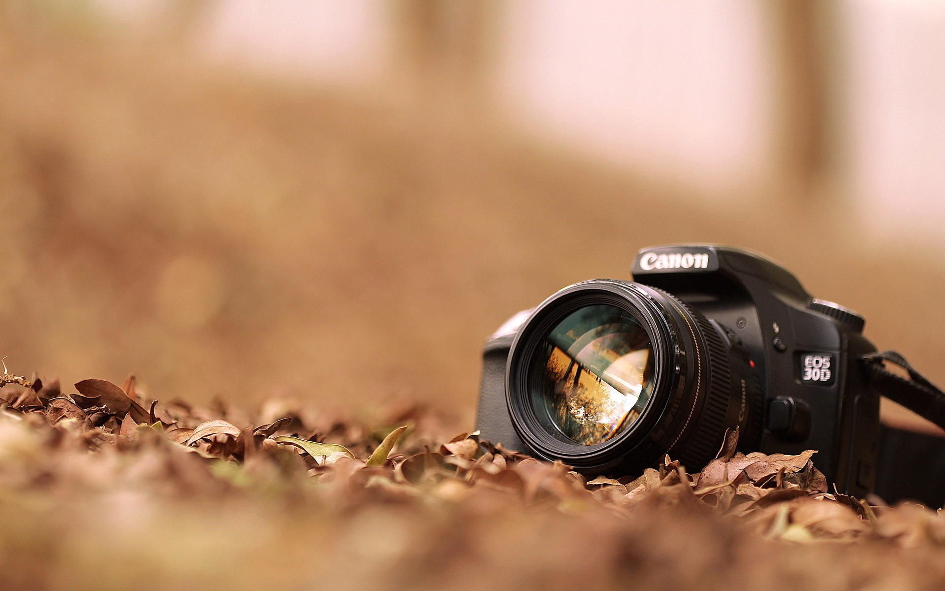 Camera
