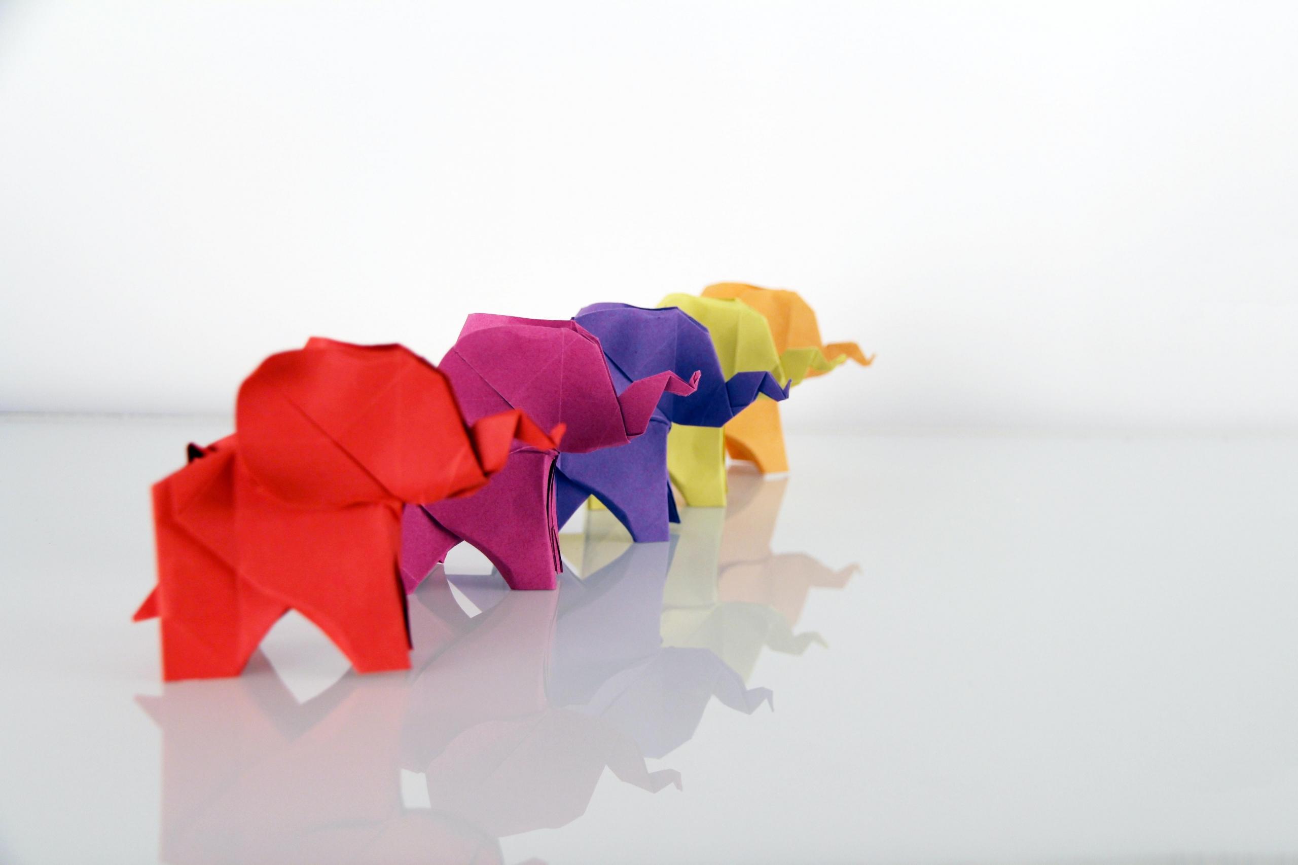 Colourful papers folded into elephants.