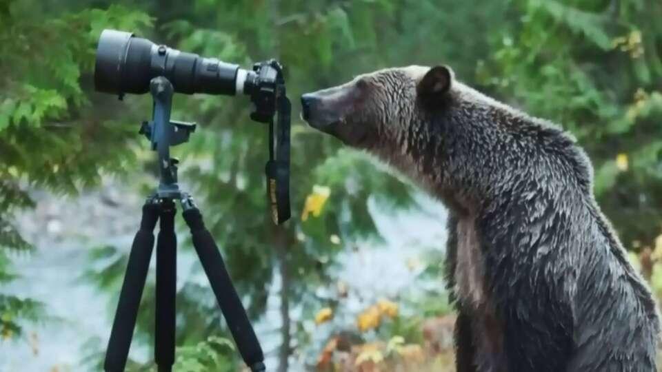 photographer