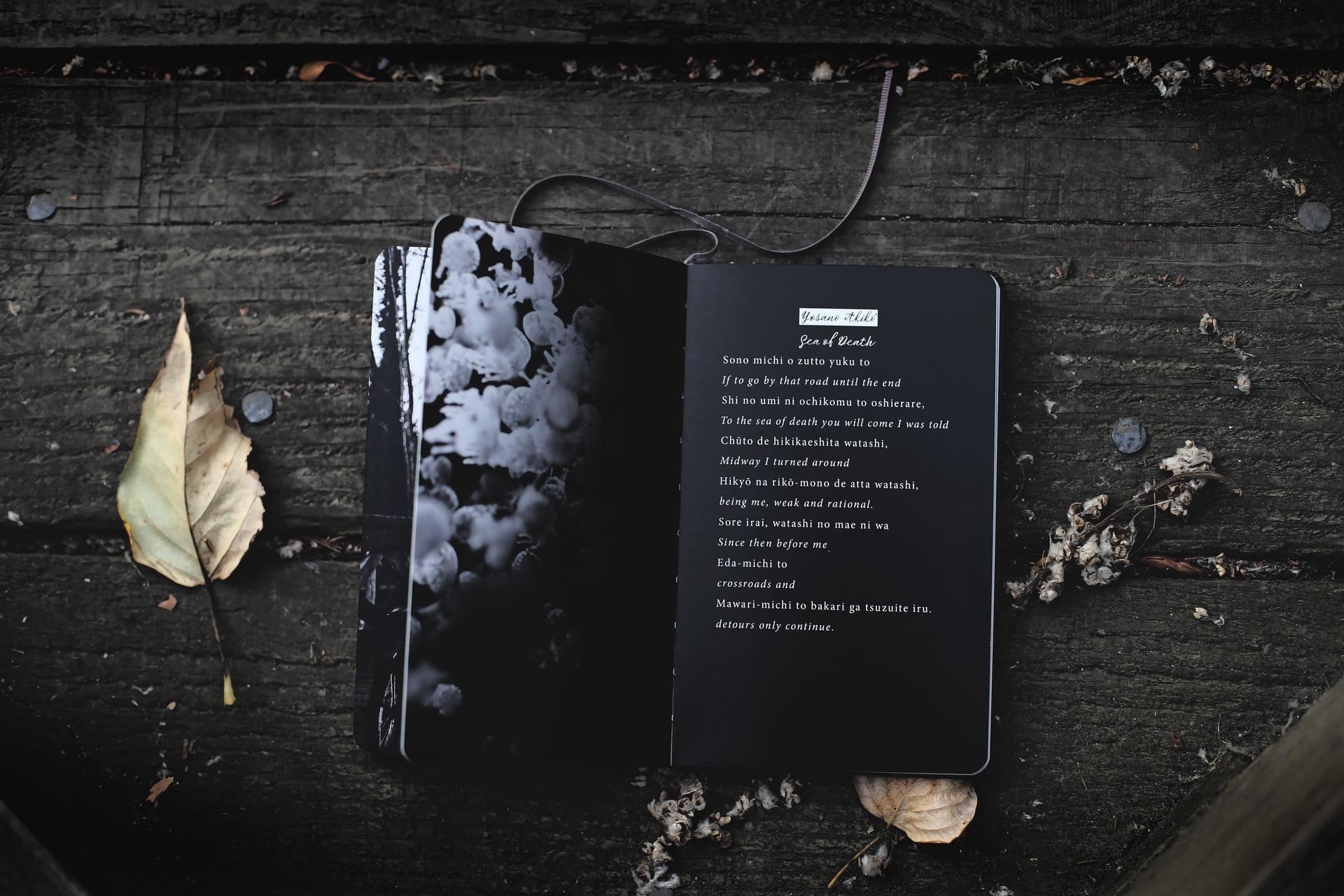 Famous poetry are often great enjoyable reads.