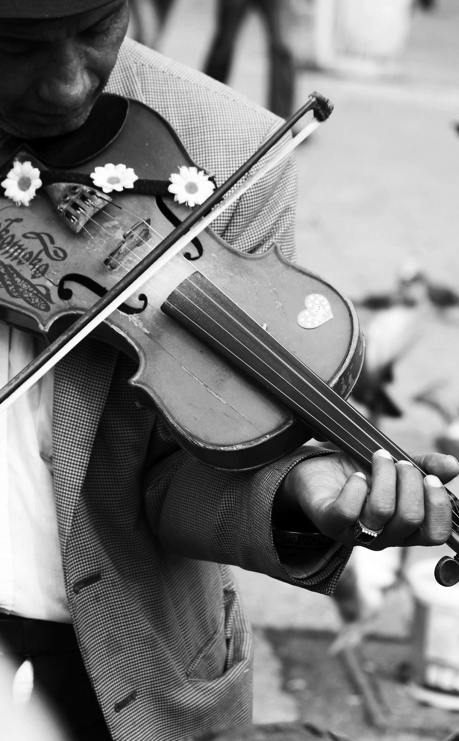 violin tutor