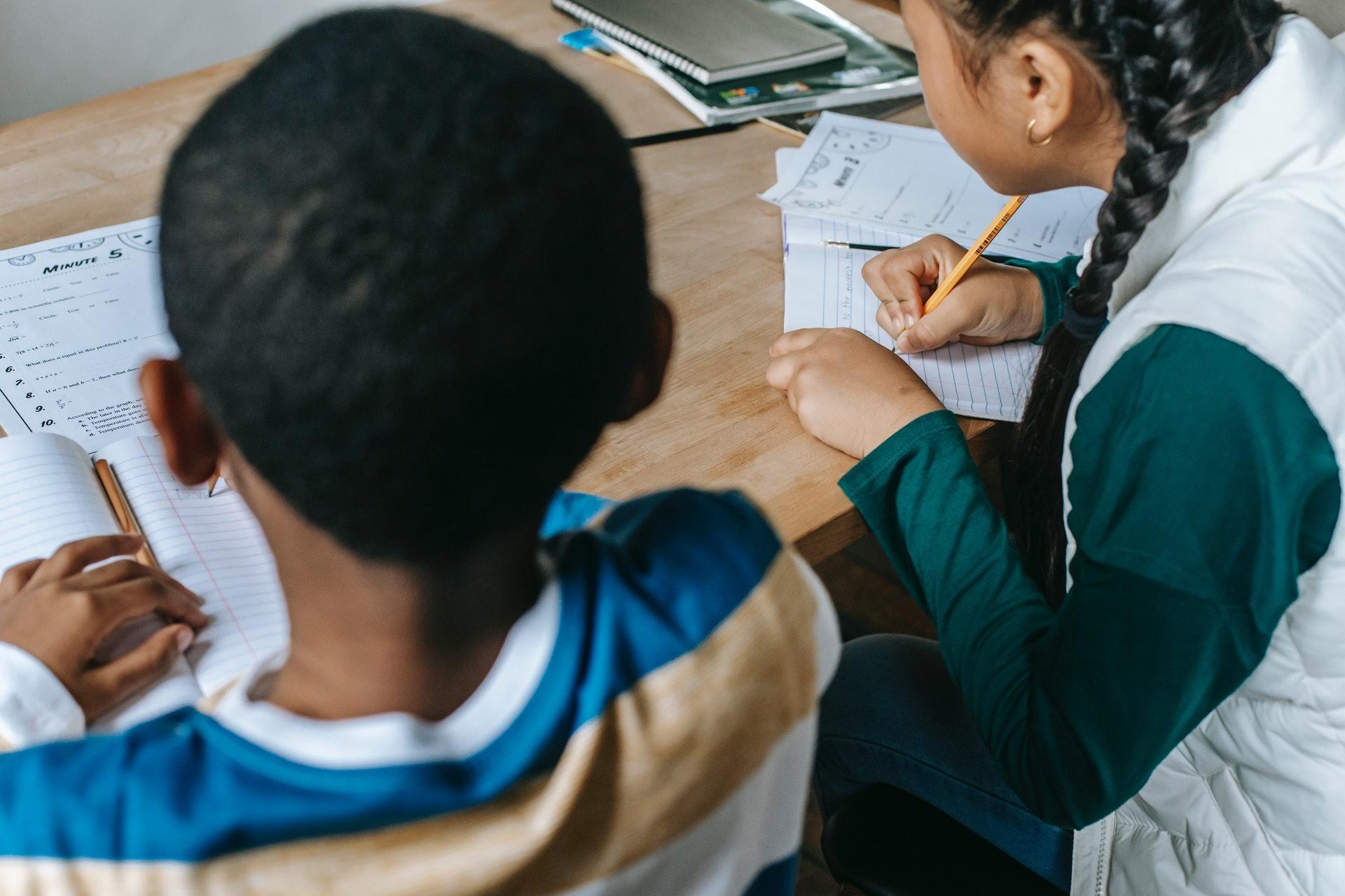 Pupils learning from a private tutor.