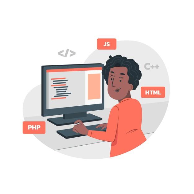 nigerian programmer