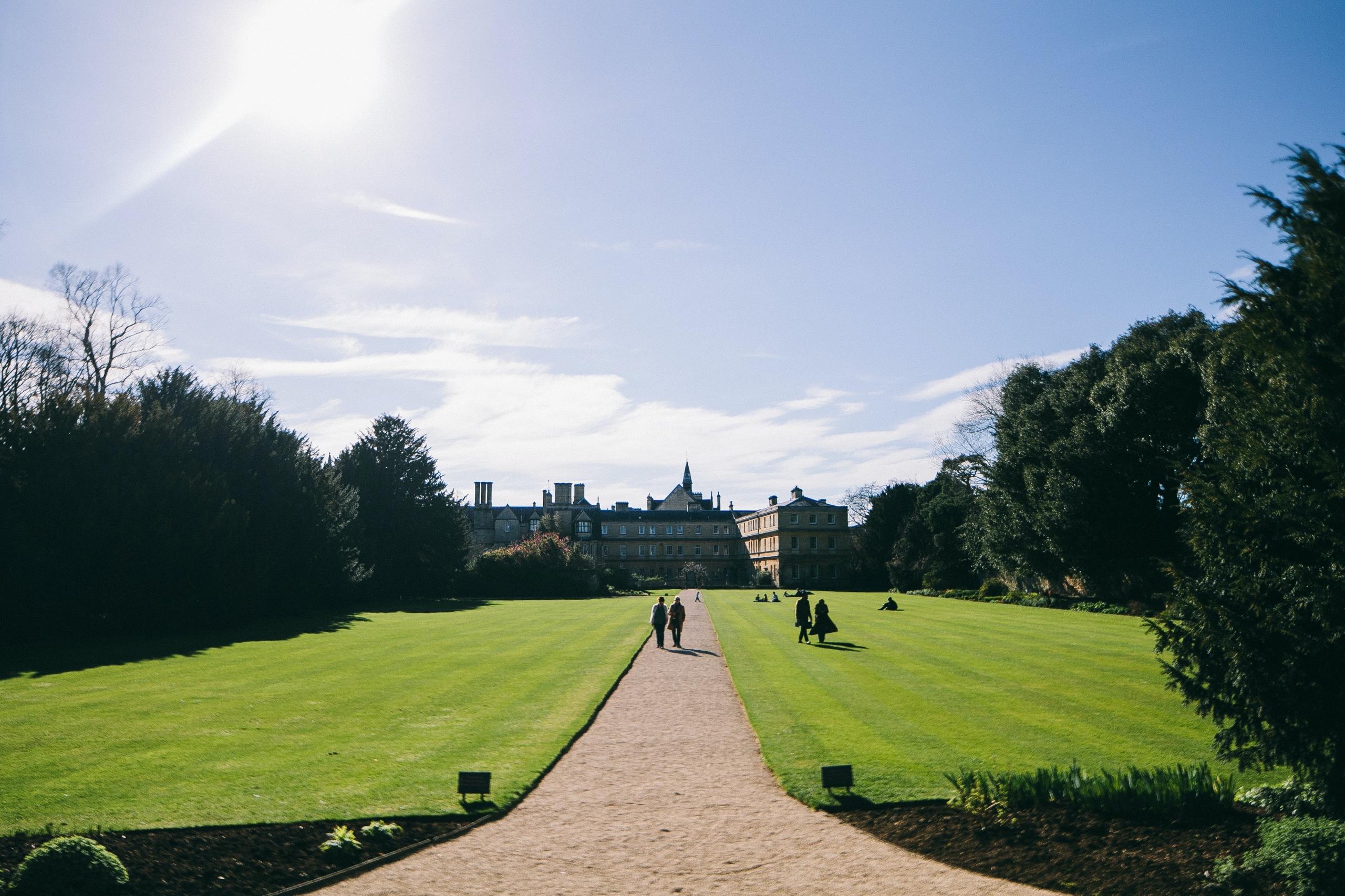 A pathway between green grass