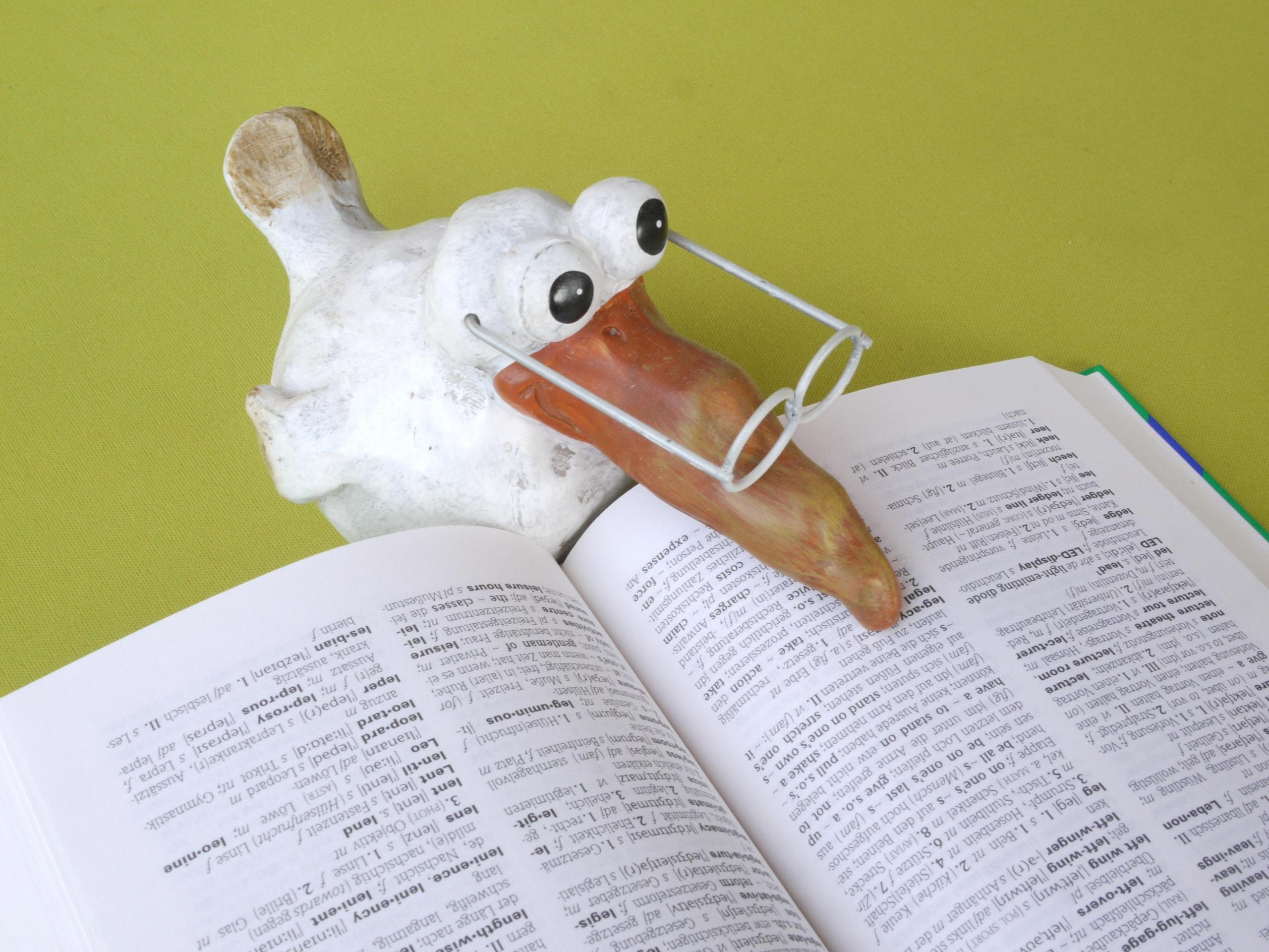 A dummy bird studying a dictionary