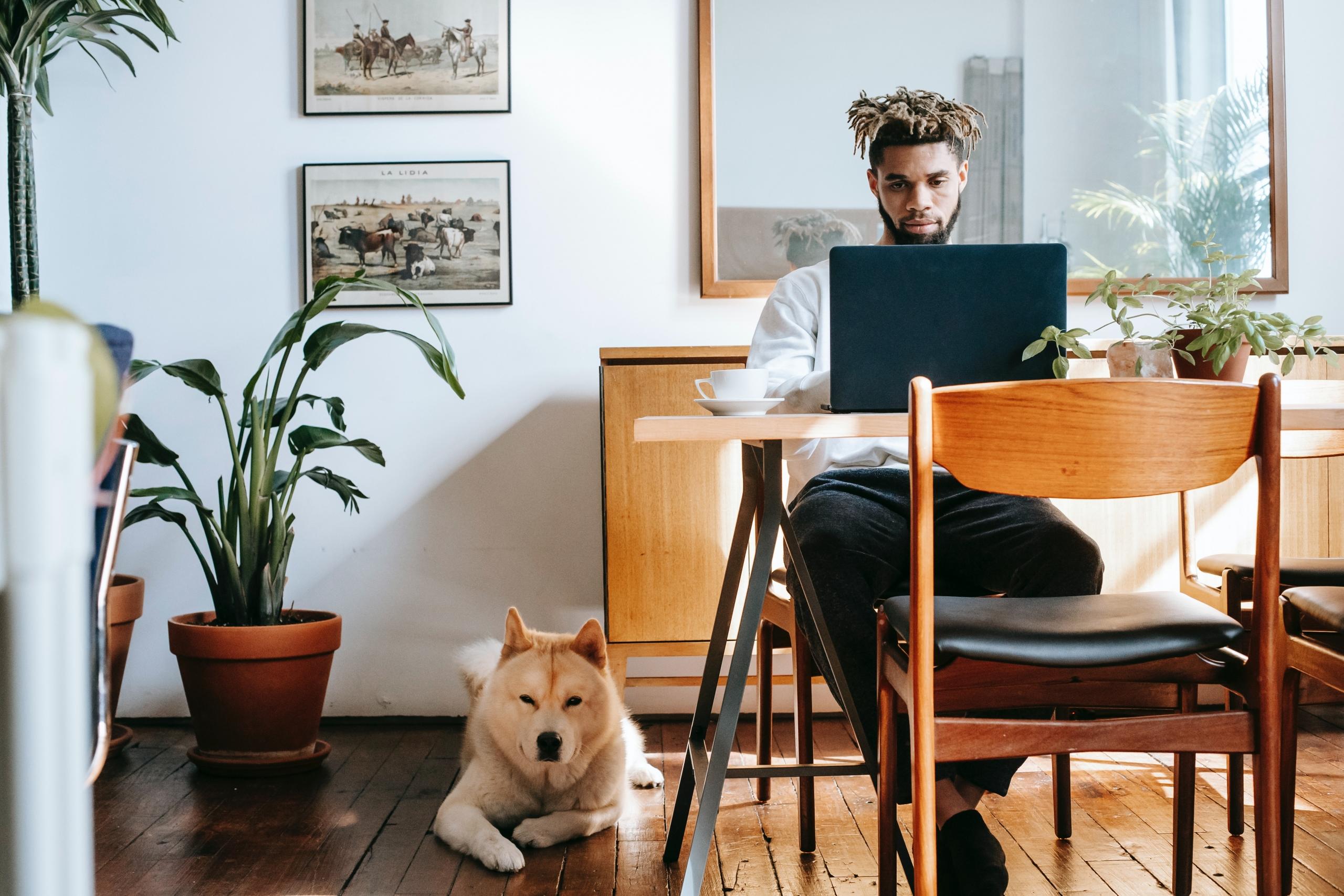  A young man with a laptop and dog
