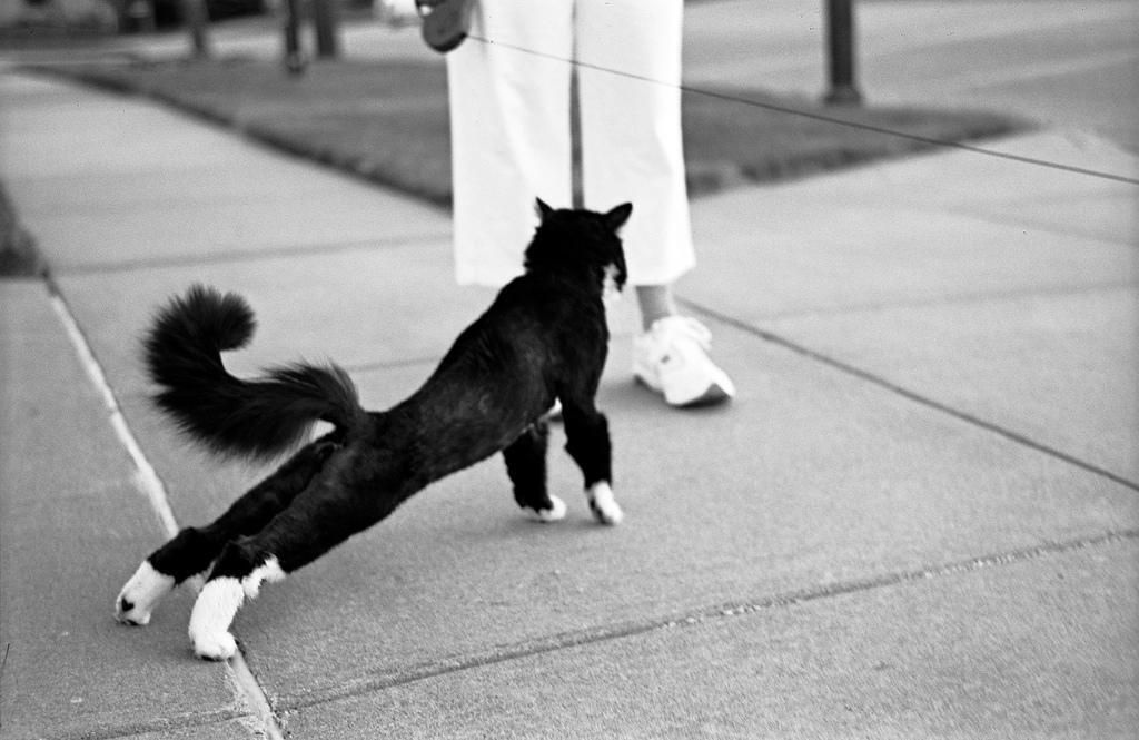 Do stretching exercises to improve your dance training.