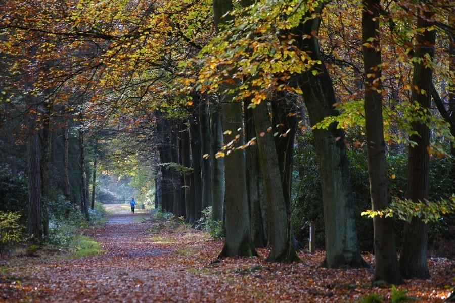 Als bijlesleraar kun je mensen verder brengen dan ze zelf voor mogelijk houden