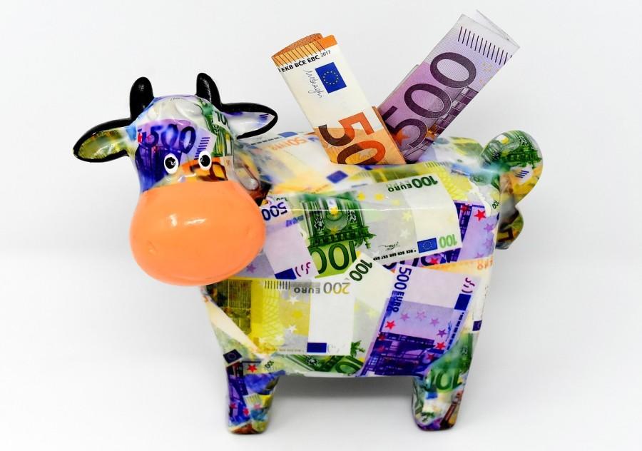 Door bijlessen te geven kun je je inkomen verhogen