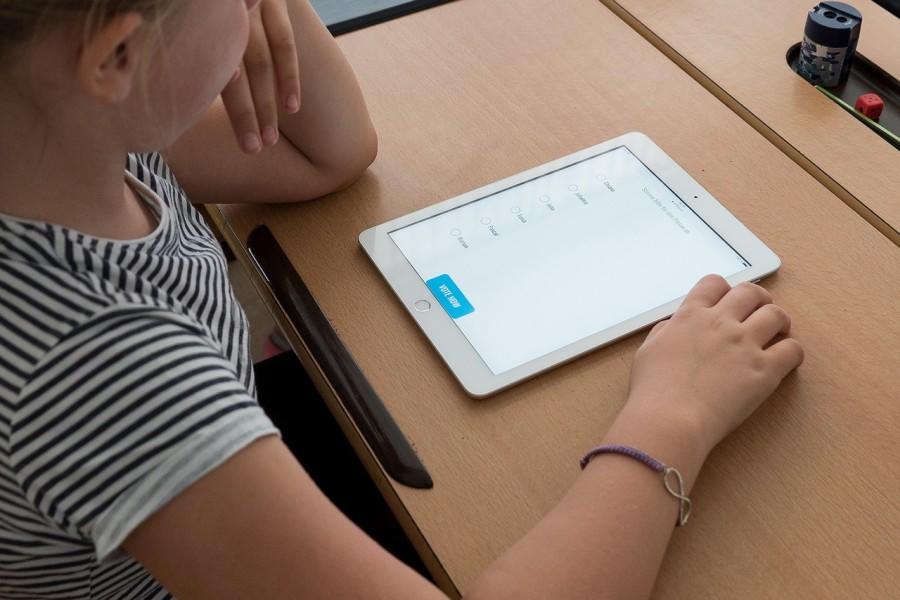 Studenten kunnen hun leerschema goed combineren met bijles geven