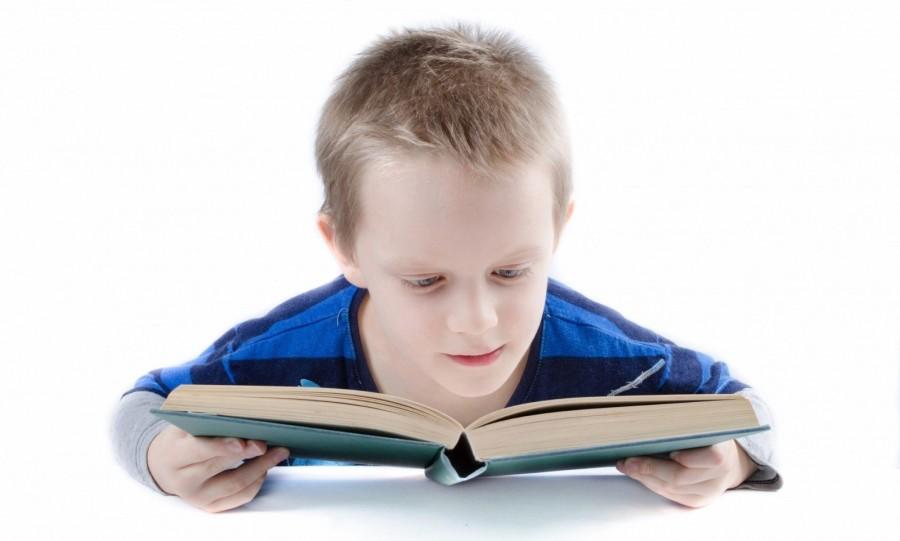 jongen leest uit studieboek
