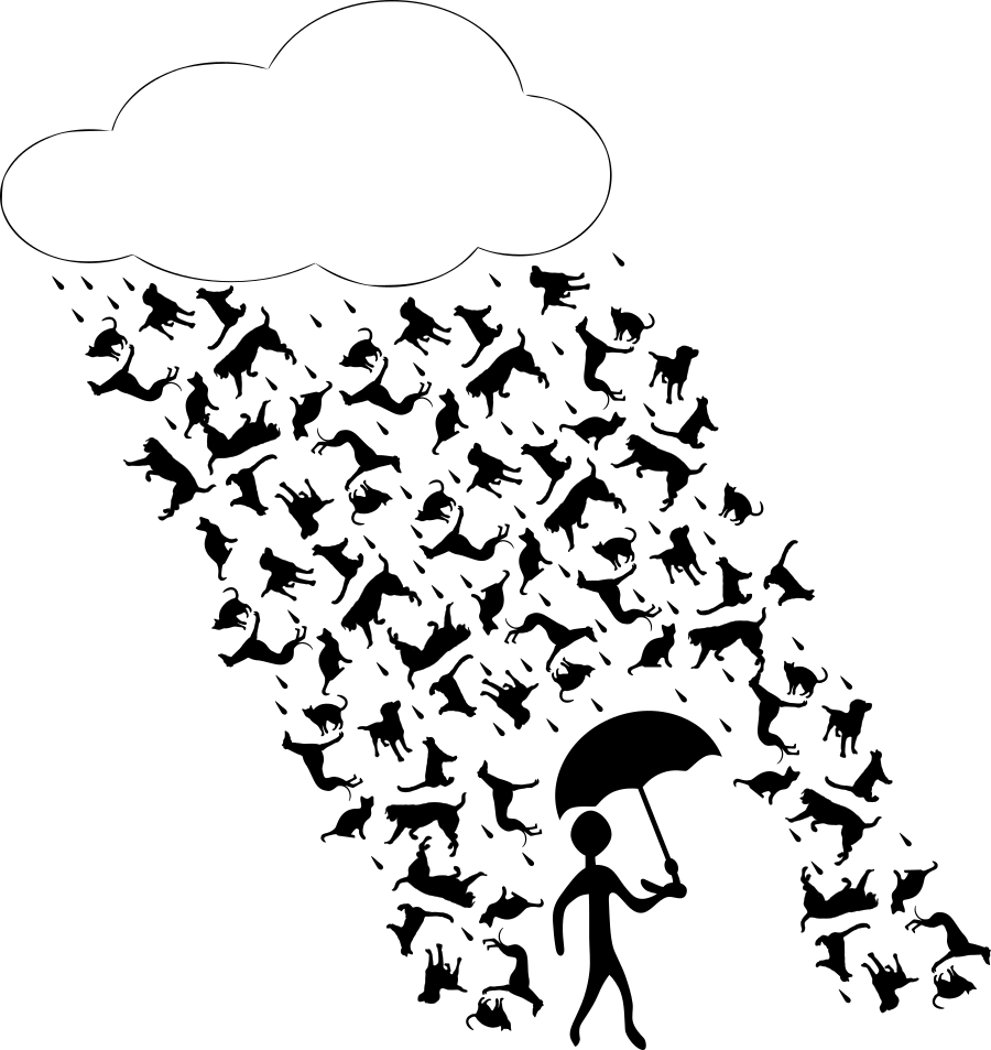 grafische weergave raining cats and dogs