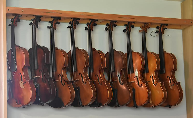 viool les geven in muziekcentra