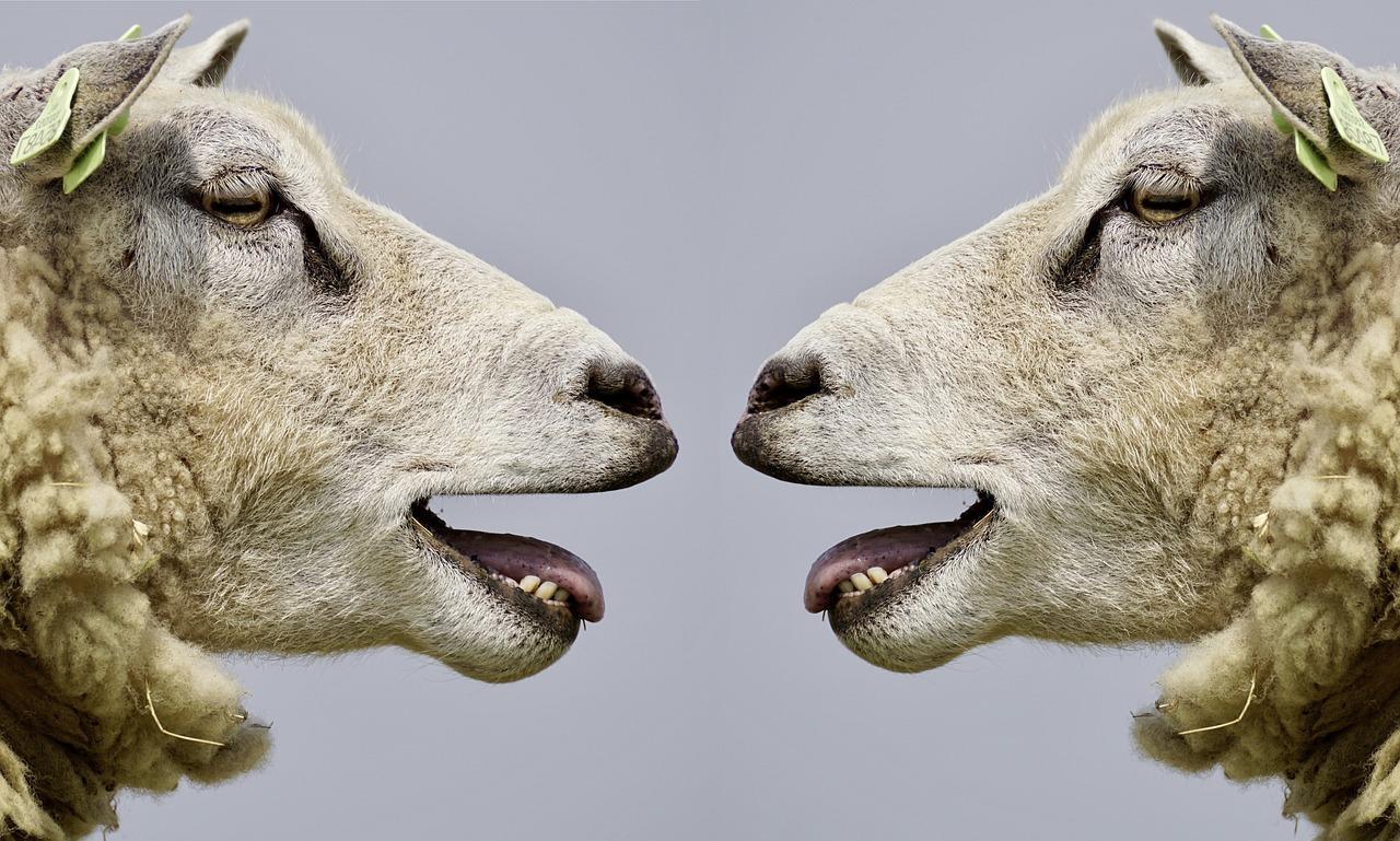Dieren maken geluiden, maar mensen doen toch iets meer!