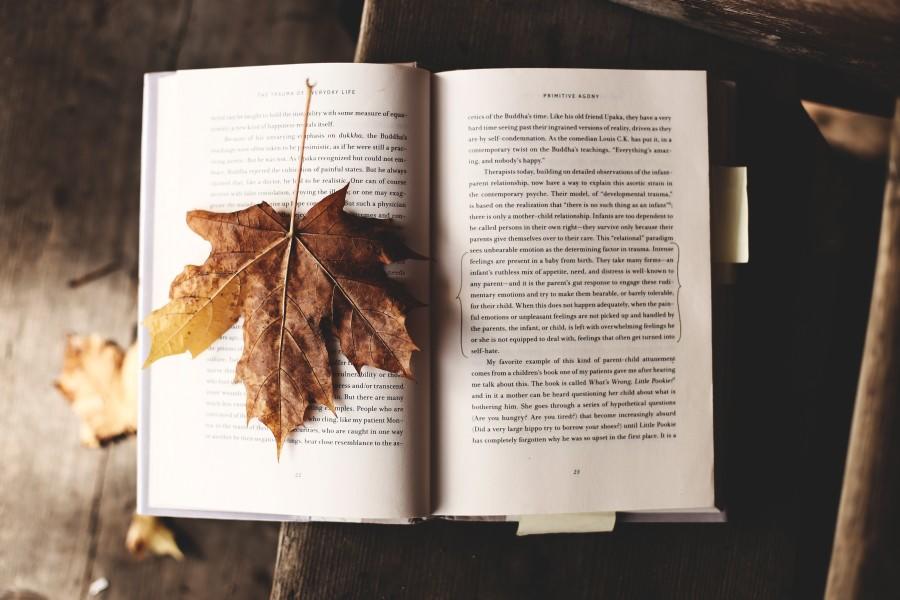 open boek met boomblad