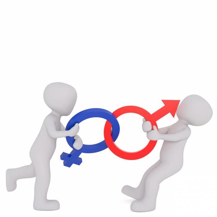 Der, die en das zijn de geslachten in het Duits